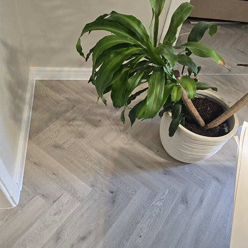 kakadu p og 104 hb ءءء1